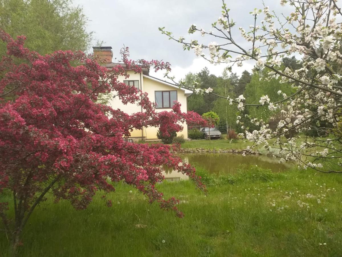 Guest House Pechersky & Sons Dreilini  Eksteriør billede