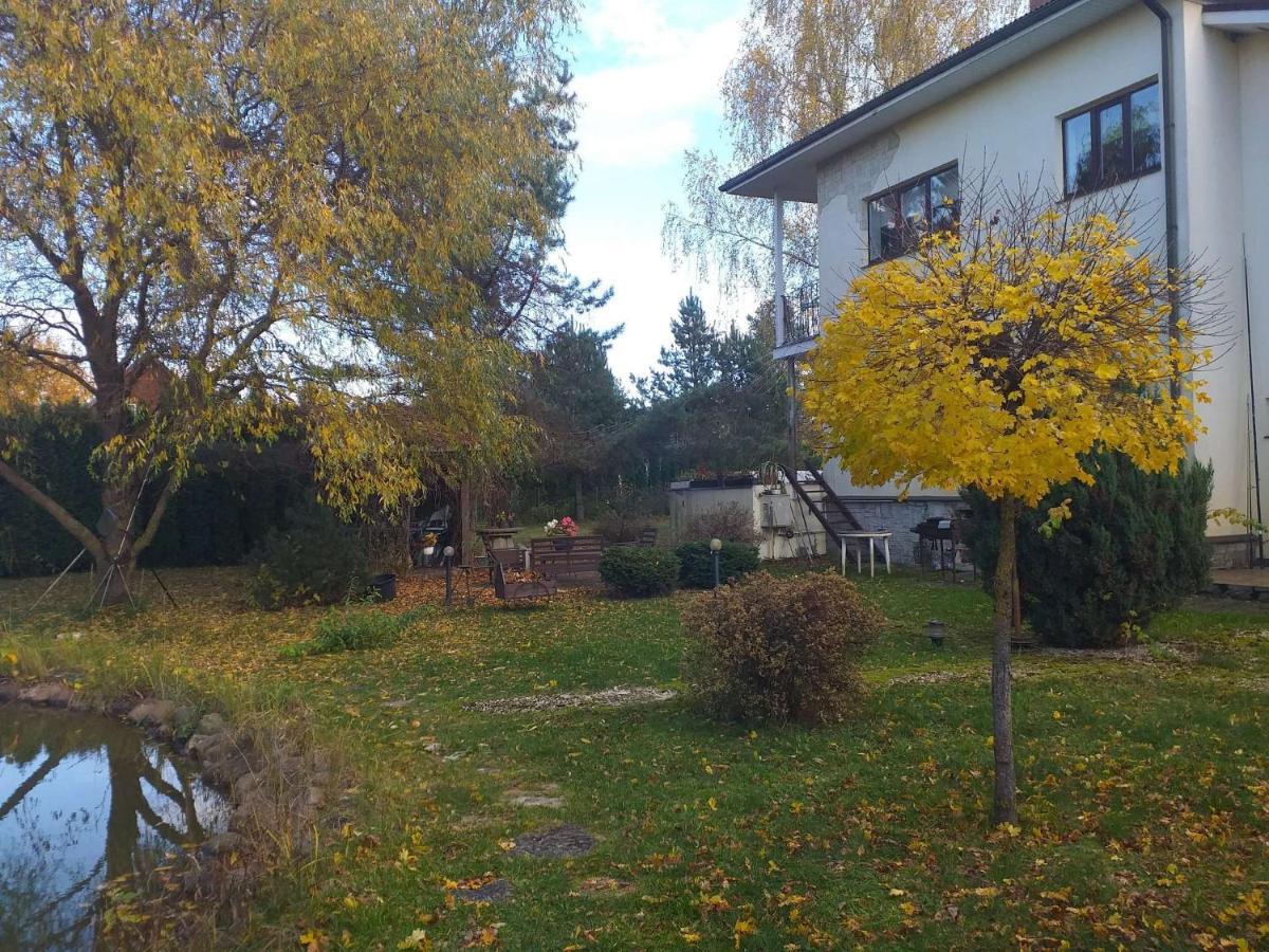 Guest House Pechersky & Sons Dreilini  Eksteriør billede